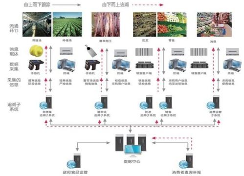 食品安全防偽追溯系統軟件設計開發解決方案